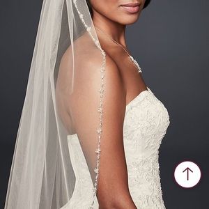 David’s Bridal Beaded Wedding Veil